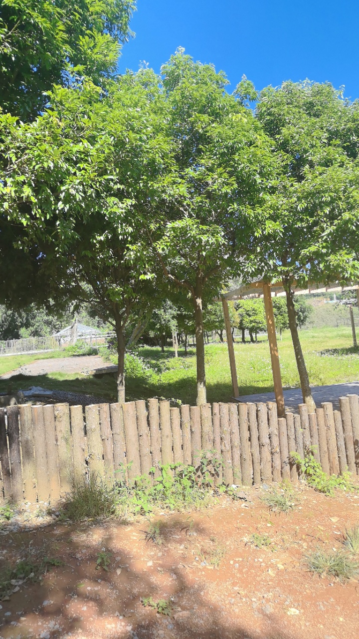 赵家渡场地转让（9个房间鱼塘20亩大草坪13个钢架房）