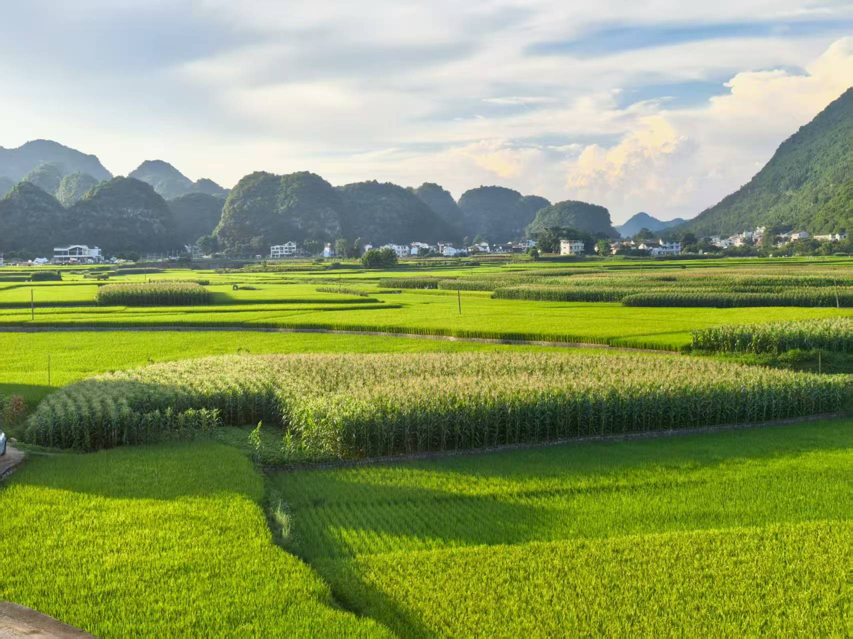 万峰林民宿转让（带证10个房间1楼可做餐馆）