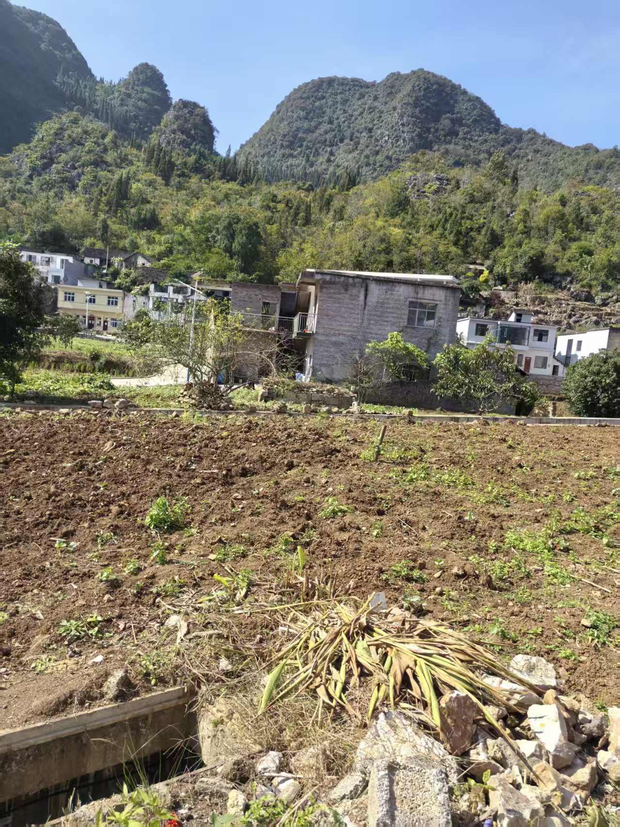 万峰林自有房屋出租----（带偏房后院200平）