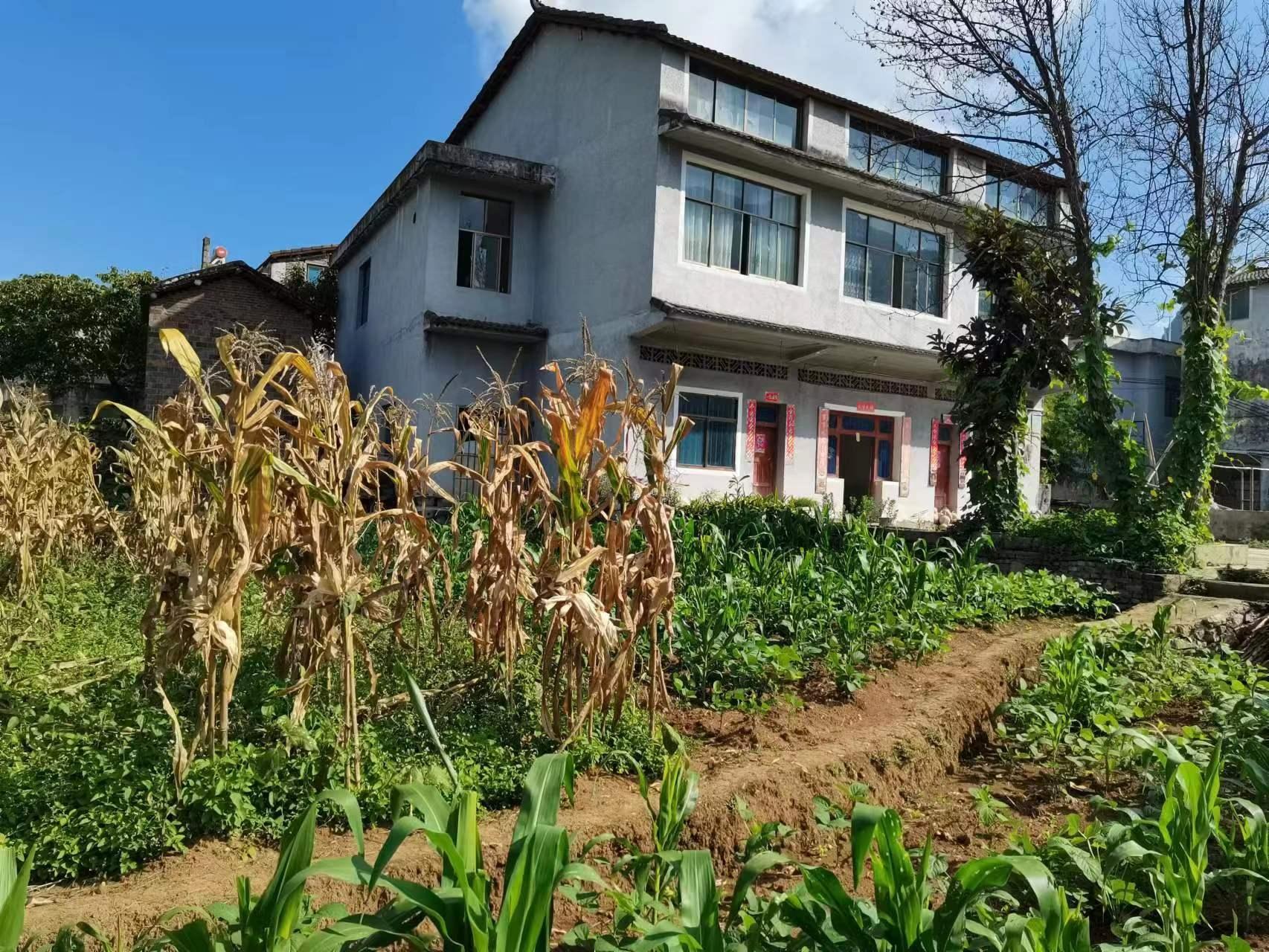 万峰林自有房屋出租