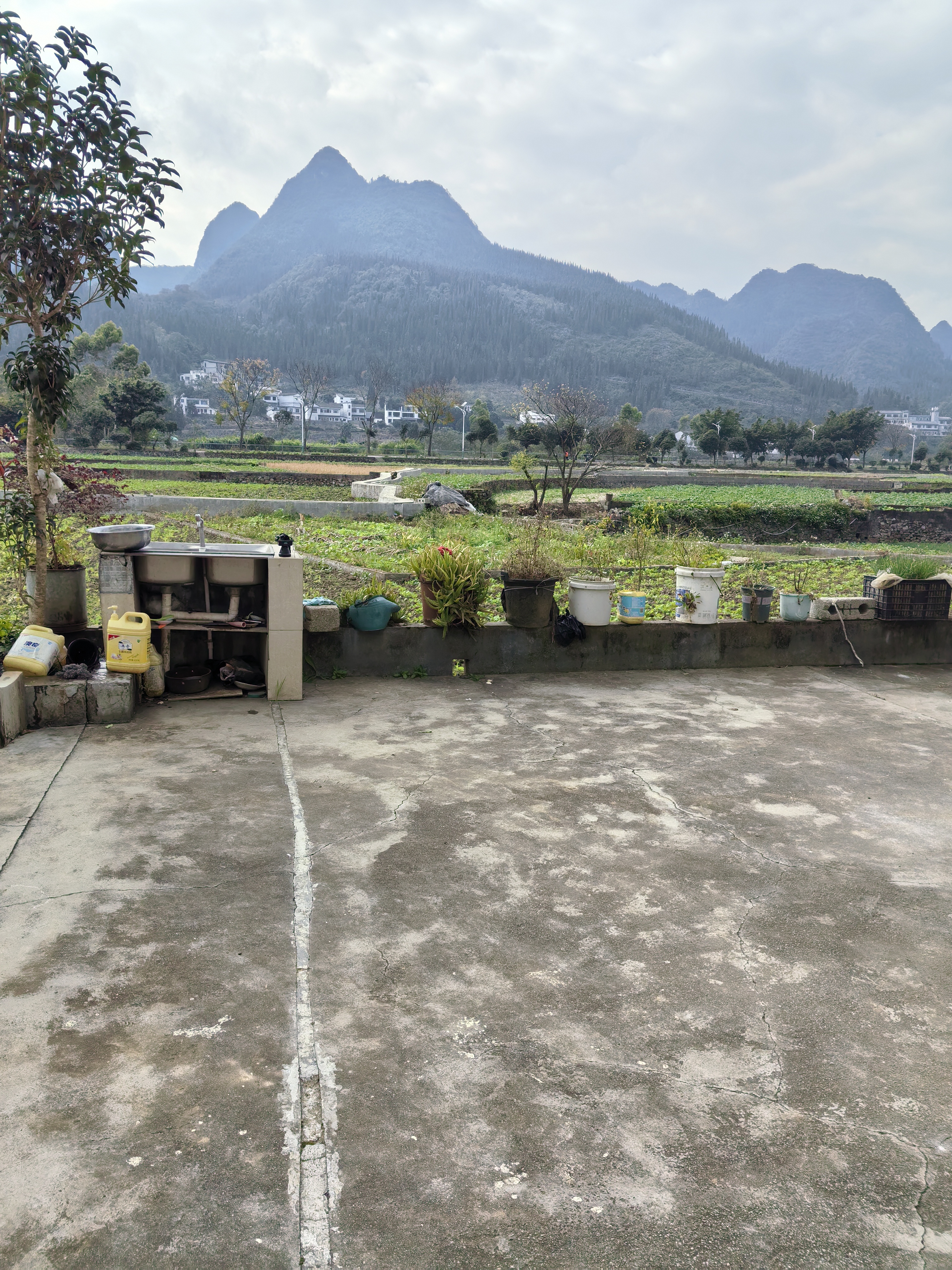 万峰林屋舍出租----（带100平庭院）
